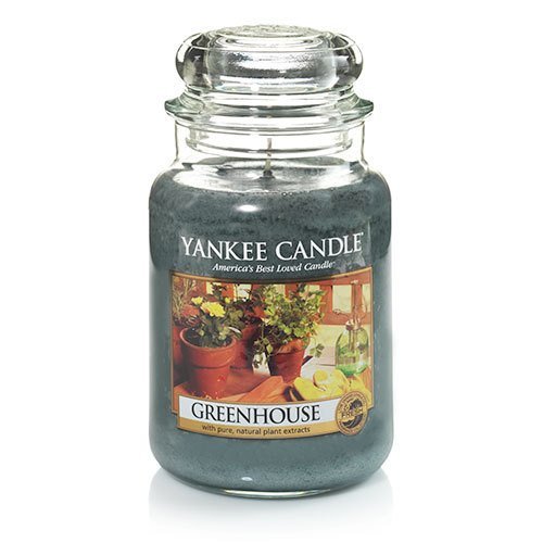 Yankee Candle, Large Jar, GreenHouse - Ardmore Salon & Tanning Spa